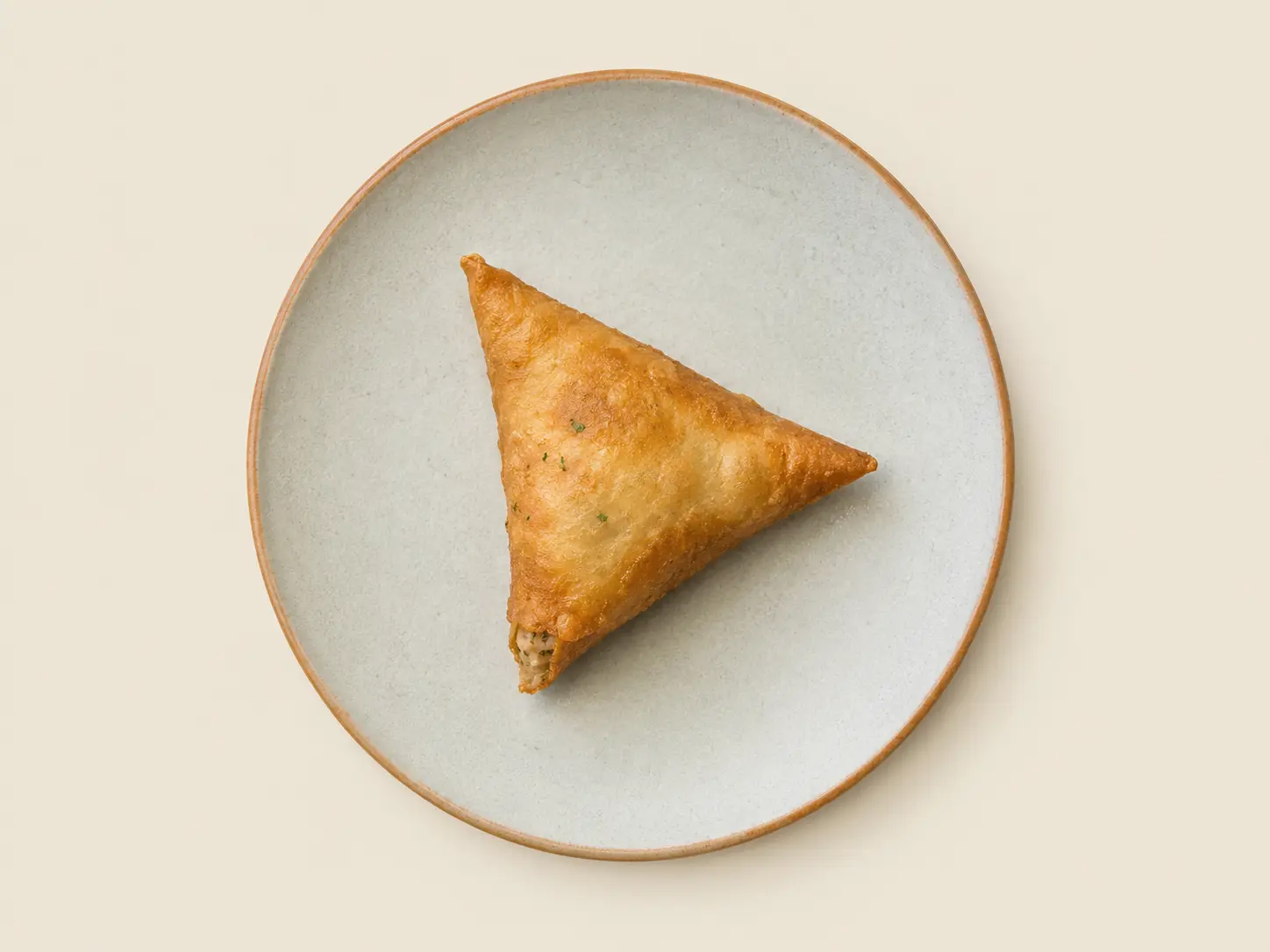 Briouat De Poisson (1 Pièce)