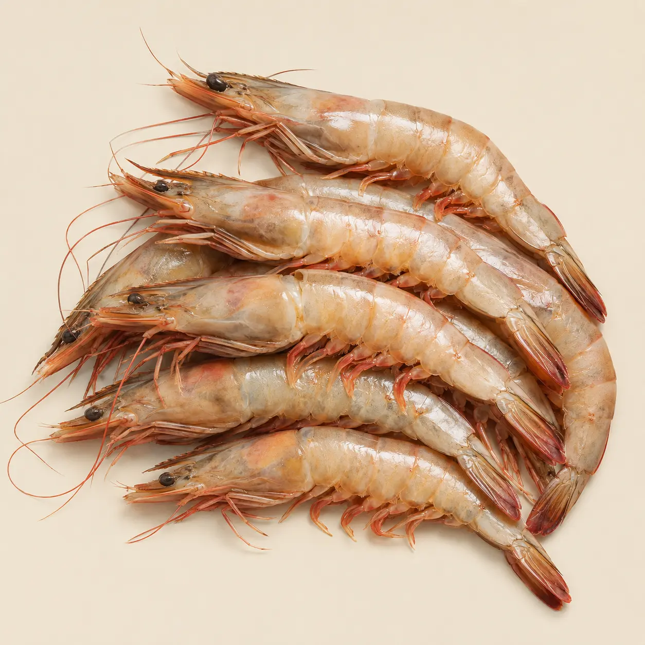Gambas (prix/kg)