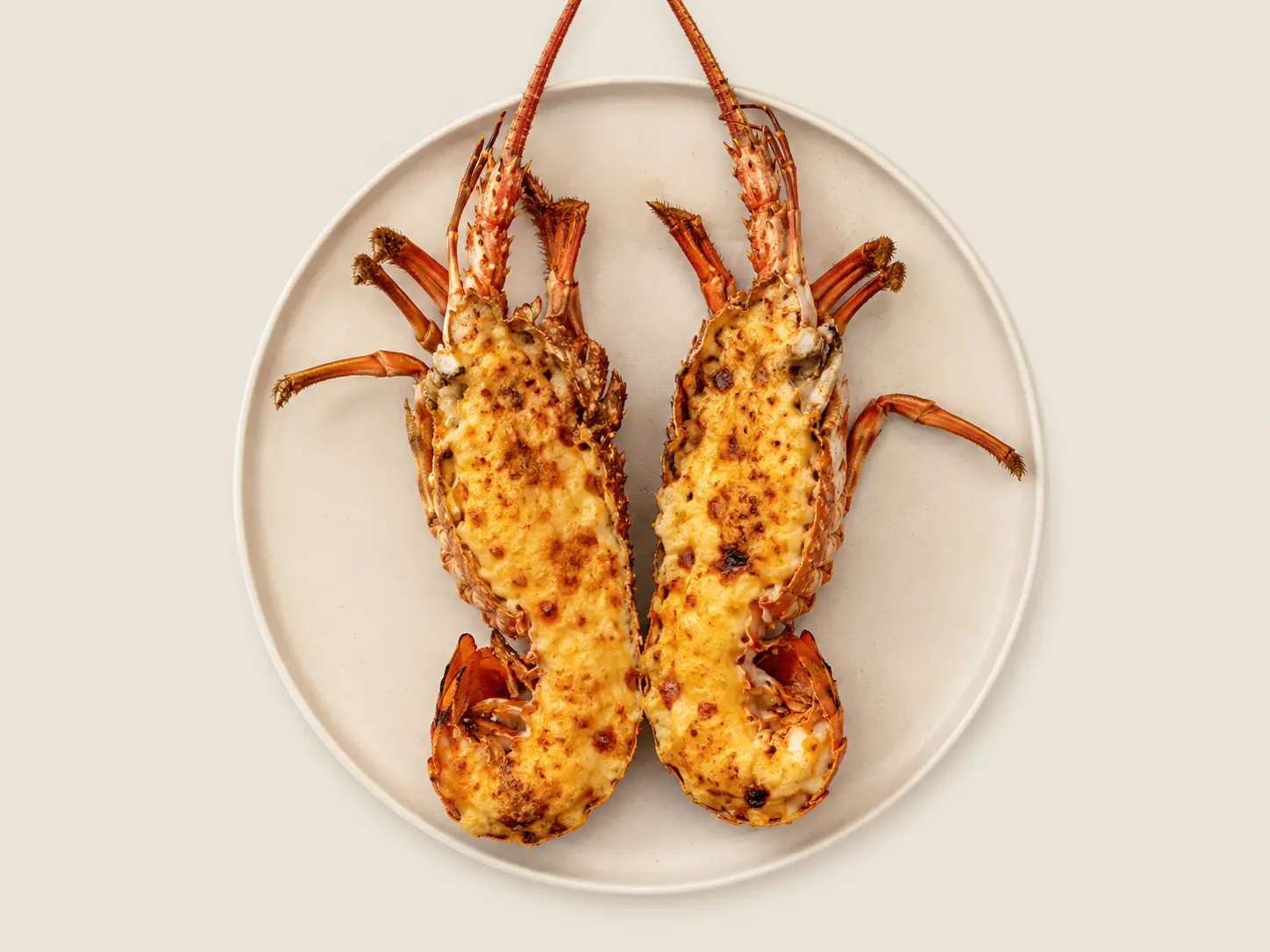 Langouste Gratinée 500g