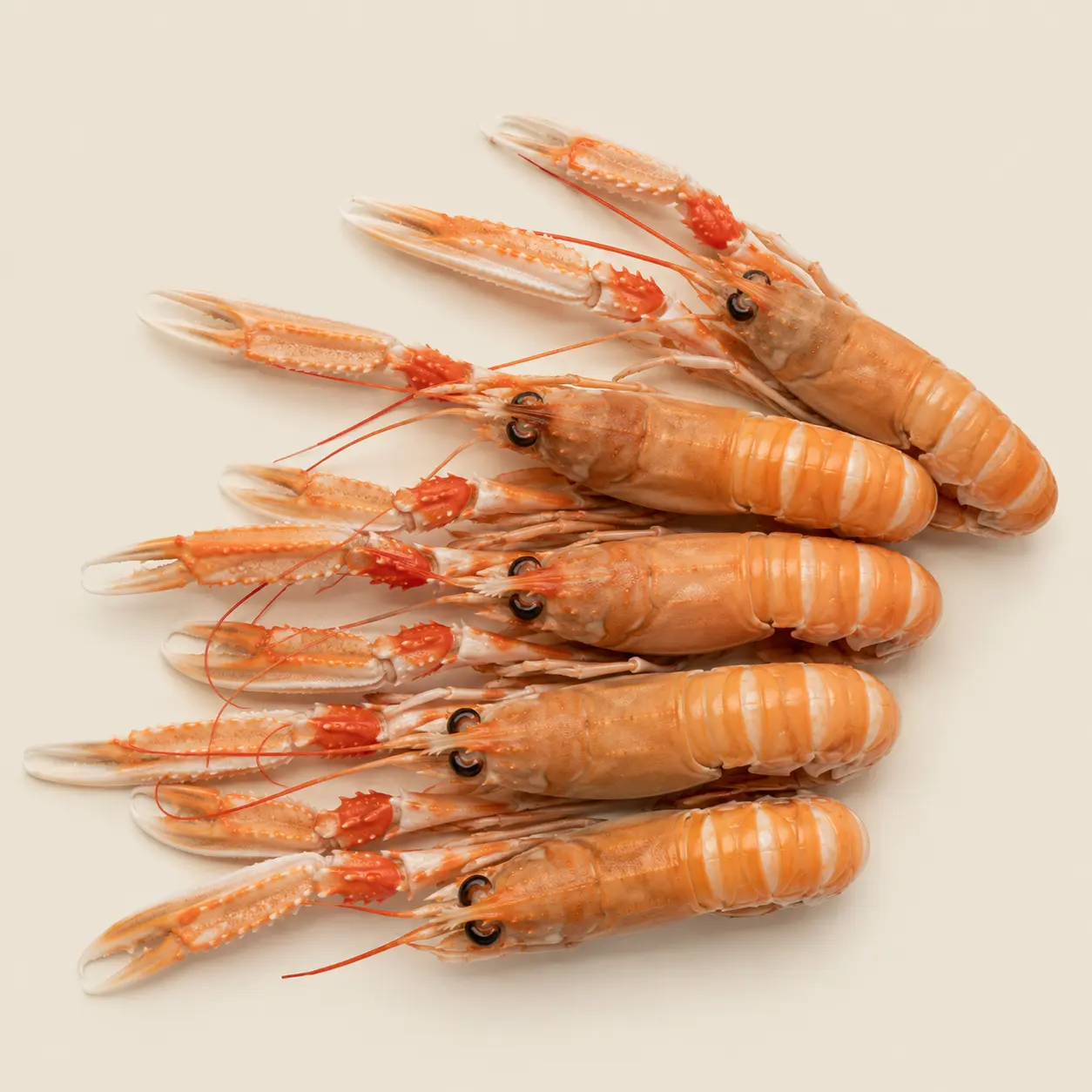 Langoustine (prix/kg)